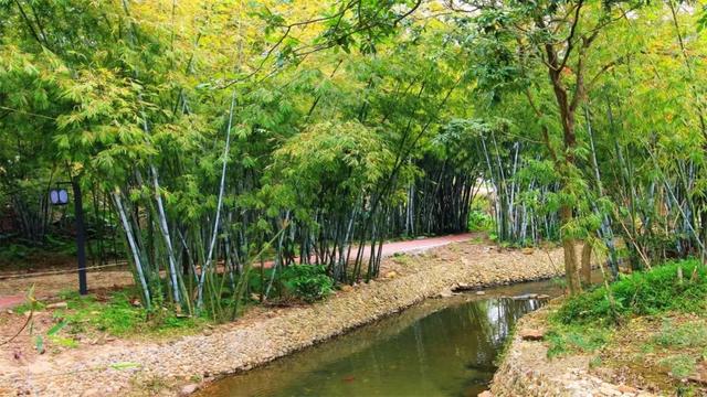 惠州博罗县十大旅游景点排名榜单(博罗这些地方入选旅游特色村)(11)