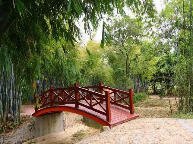 惠州博罗县十大旅游景点排名榜单(博罗这些地方入选旅游特色村)(12)