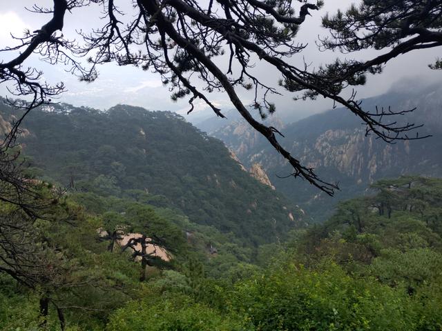 泰山旅游攻略一日游马蜂窝(周末泰山一日游攻略)(10)