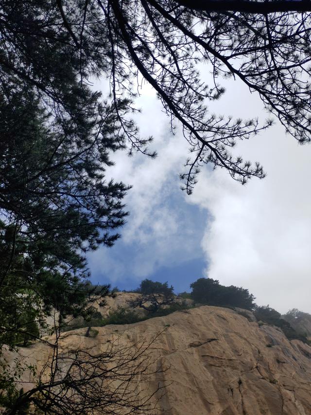 泰山旅游攻略一日游马蜂窝(周末泰山一日游攻略)(11)