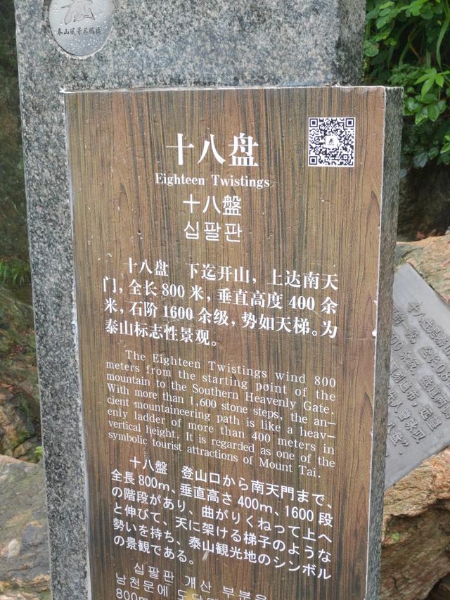 泰山旅游攻略一日游马蜂窝(周末泰山一日游攻略)(5)