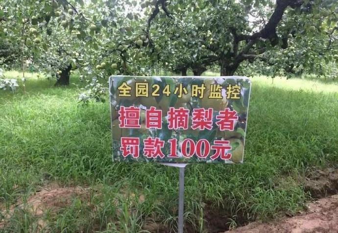 囧哥:两不误!大妈拿灭蚊拍跳广场舞