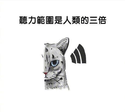 囧哥:两不误!大妈拿灭蚊拍跳广场舞