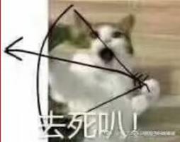 囧哥:两不误!大妈拿灭蚊拍跳广场舞