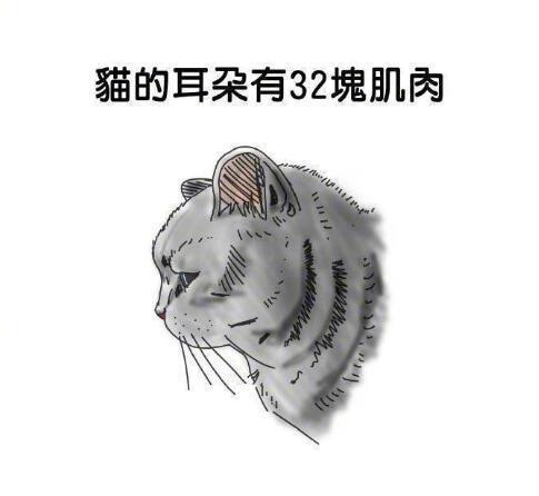 囧哥:两不误!大妈拿灭蚊拍跳广场舞