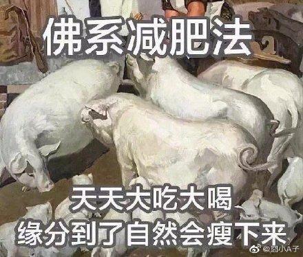 囧哥:两不误!大妈拿灭蚊拍跳广场舞