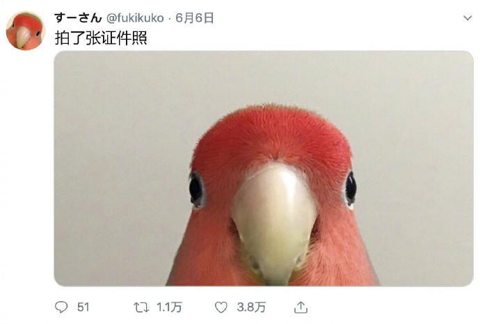 囧哥:两不误!大妈拿灭蚊拍跳广场舞