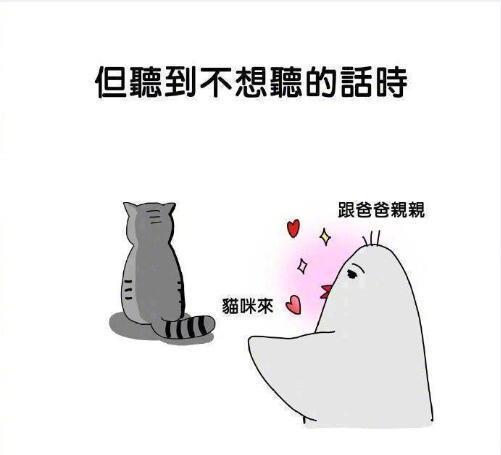 囧哥:两不误!大妈拿灭蚊拍跳广场舞