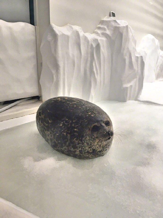 囧哥:两不误!大妈拿灭蚊拍跳广场舞