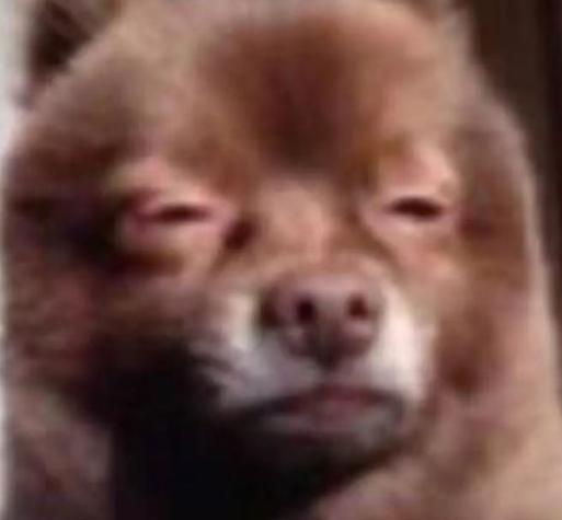 囧哥:两不误!大妈拿灭蚊拍跳广场舞