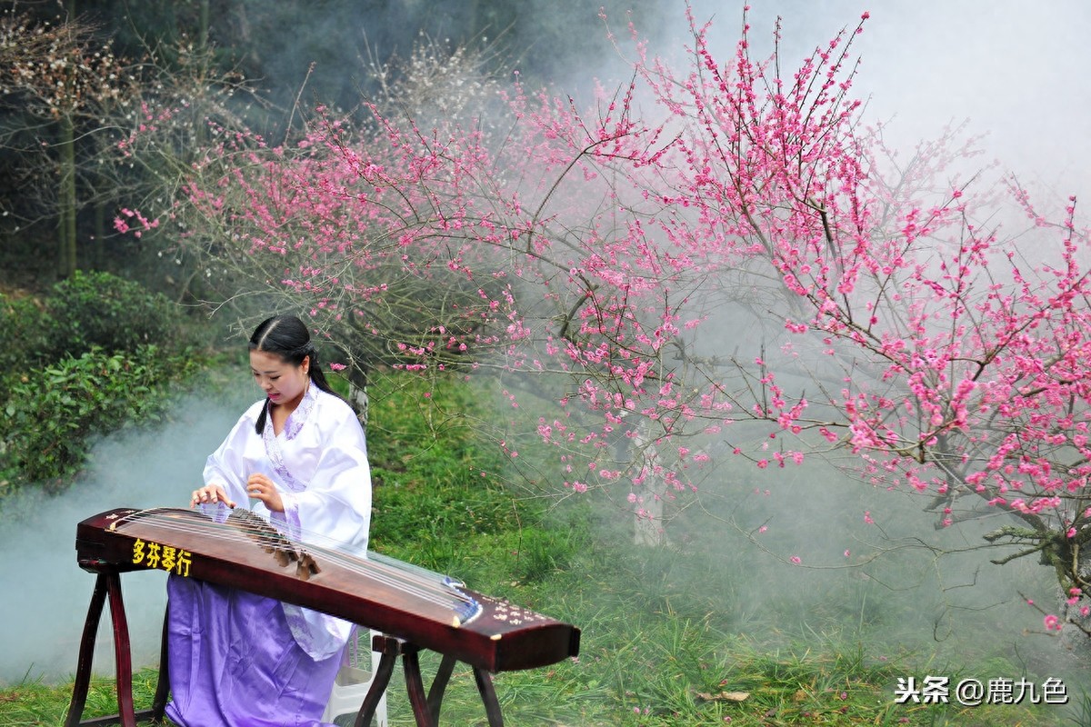 人间四月芳菲尽，山寺桃花始盛开