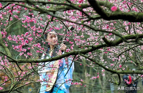 人间四月芳菲尽，山寺桃花始盛开