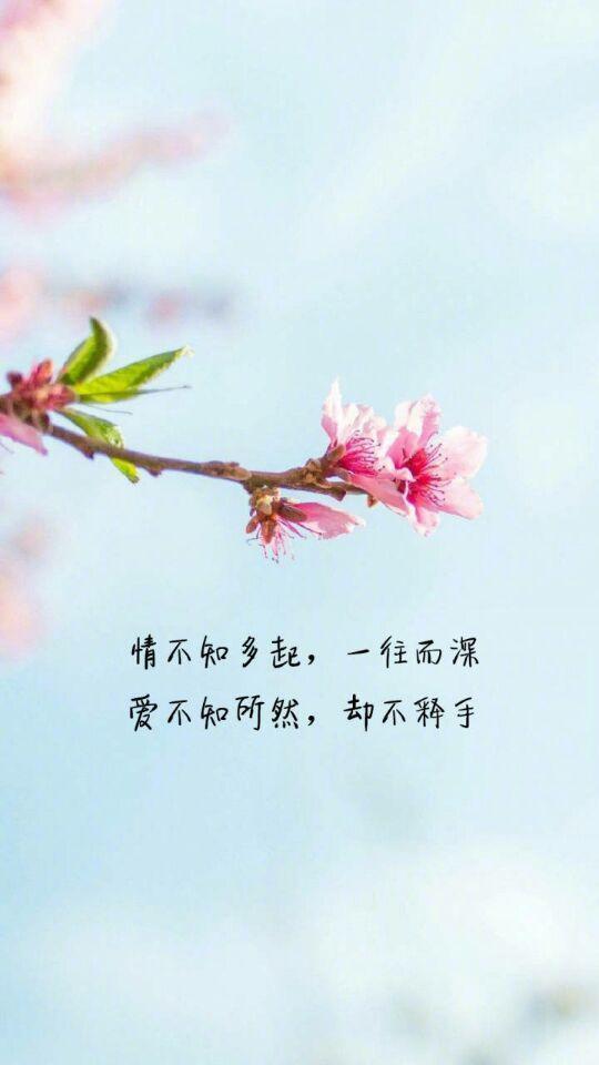 《爱你，是我做过最好的事》