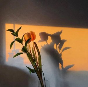 ​童童童子作者五部小说，人设多样，车速嘀嘀与剧情并齐