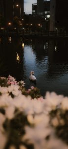 ​黑色系高清无水印手机壁纸