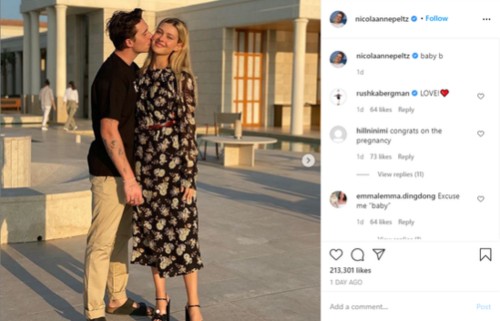 妮可拉佩尔茨，布鲁克林老婆,本文共（3730字）