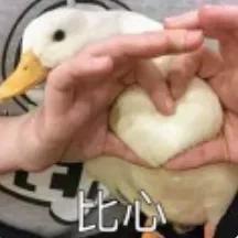 爱情电影排行榜（那些百看不厌的经典爱情电影）(13)