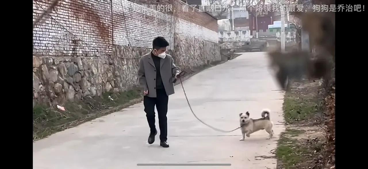 董宇辉个人资料简介（董宇辉：与苗阜同框更显优秀，与德云社无关，两位都是陕西的人才）