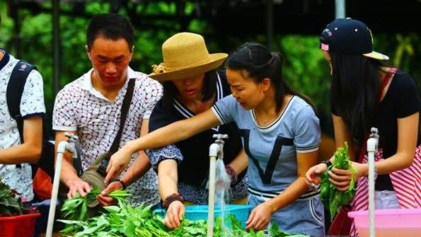 旅游7月8月带孩子适合去哪里旅游（7月8月旅游最佳去处）  5