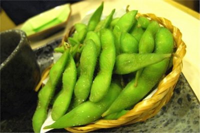 ​扁枝豆：茎的长度可达6米_缠绕藤本植物）