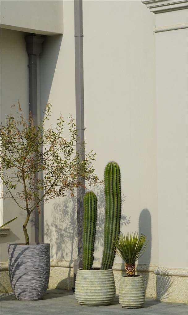 网络图片(侵删)