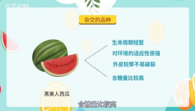 ​西瓜的种类