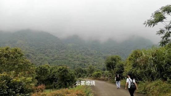 雁荡山有什么景点可以玩（雁荡山免费旅游景点攻略）(5)