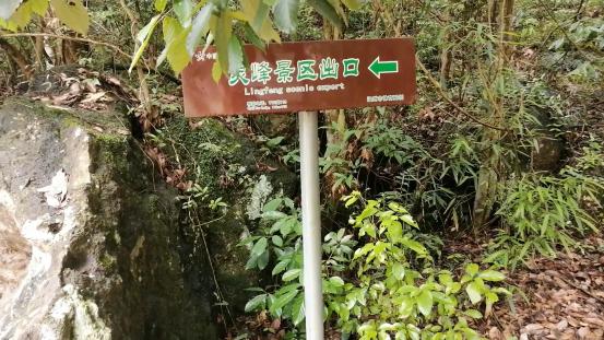 雁荡山有什么景点可以玩（雁荡山免费旅游景点攻略）(20)