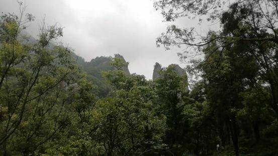 雁荡山有什么景点可以玩（雁荡山免费旅游景点攻略）(22)