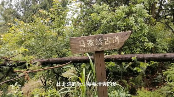 雁荡山有什么景点可以玩（雁荡山免费旅游景点攻略）(11)