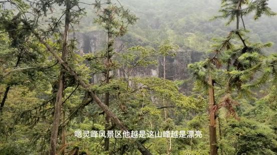 雁荡山有什么景点可以玩（雁荡山免费旅游景点攻略）(17)