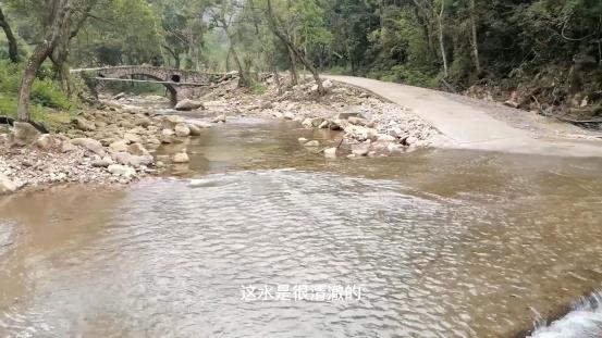 雁荡山有什么景点可以玩（雁荡山免费旅游景点攻略）(21)