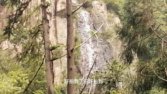 雁荡山有什么景点可以玩（雁荡山免费旅游景点攻略）(18)