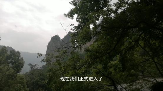 雁荡山有什么景点可以玩（雁荡山免费旅游景点攻略）(25)
