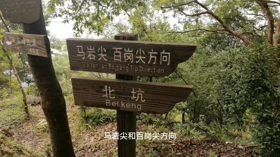 雁荡山有什么景点可以玩（雁荡山免费旅游景点攻略）(14)