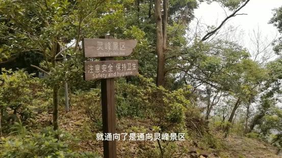 雁荡山有什么景点可以玩（雁荡山免费旅游景点攻略）(15)