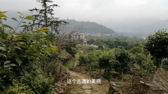 雁荡山有什么景点可以玩（雁荡山免费旅游景点攻略）(8)