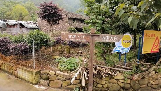 雁荡山有什么景点可以玩（雁荡山免费旅游景点攻略）(3)