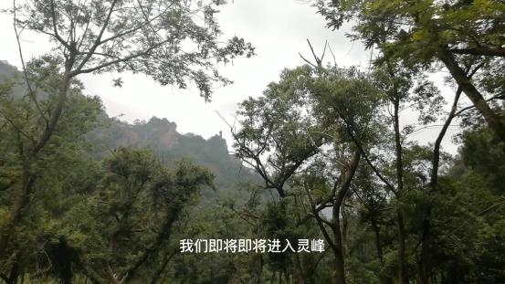雁荡山有什么景点可以玩（雁荡山免费旅游景点攻略）(23)