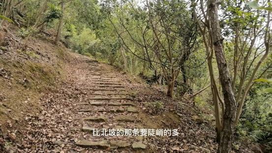 雁荡山有什么景点可以玩（雁荡山免费旅游景点攻略）(16)