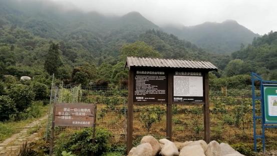 雁荡山有什么景点可以玩（雁荡山免费旅游景点攻略）(7)
