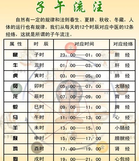 二十四个时辰是什么