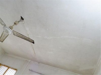 ​天花板现象产生与组织什么影响有关？竹子天花板现象