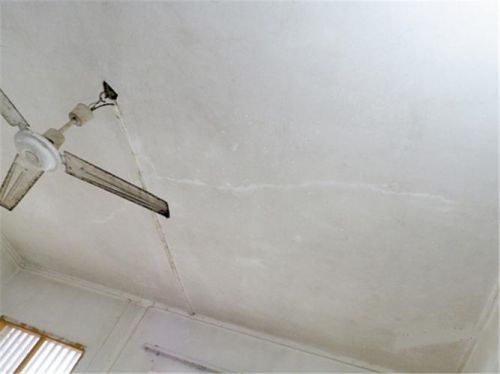 天花板现象产生与组织什么影响有关？竹子天花板现象-第1张图片-