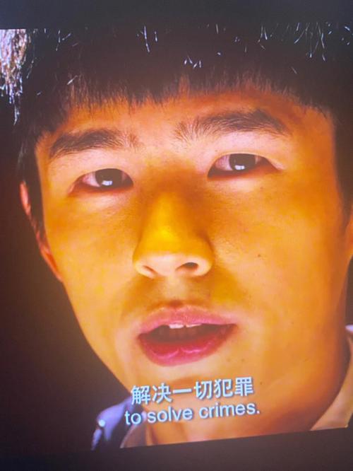 唐人街探案剧情详解(唐人街探案的完整真相是什么)