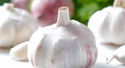 大蒜保存方法,新鲜大蒜怎么保存 大蒜的保存方法视频图2