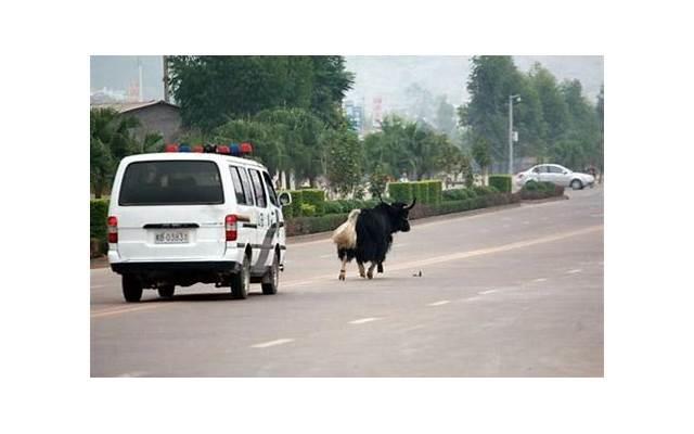 4月27日金牛座女生「4月27日金牛座女生性格分析」 4月27日金牛座女生「4月27日金牛座女生性格分析」