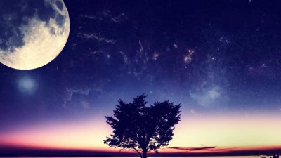 ​推无CP快穿男主文