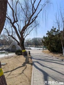 ​北京龙潭公园