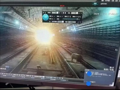 ​地铁隧道内出现野猪？南京地铁：属实